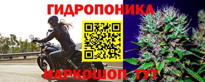 спиды Дмитров
