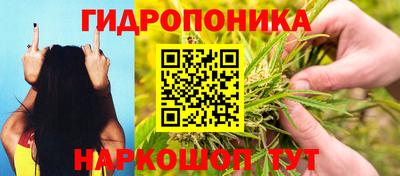 спиды Дмитров