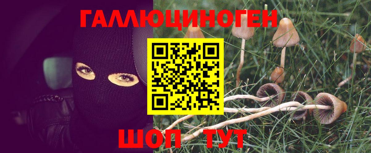 Псилоцибиновые грибы MAGIC MUSHROOMS Мирный